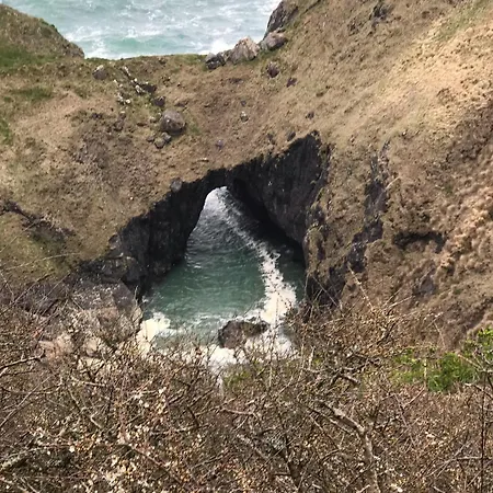 Inn Cove Cadgwith