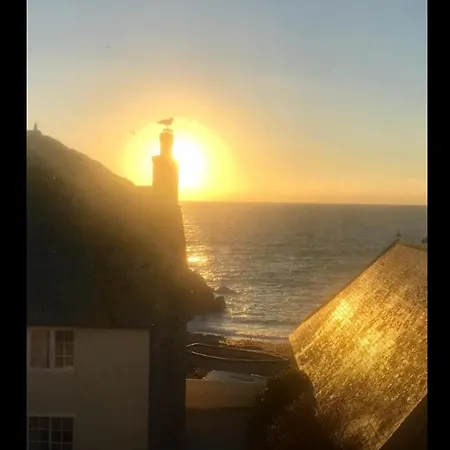Cove