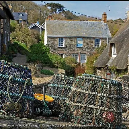 Cove Inn Cadgwith